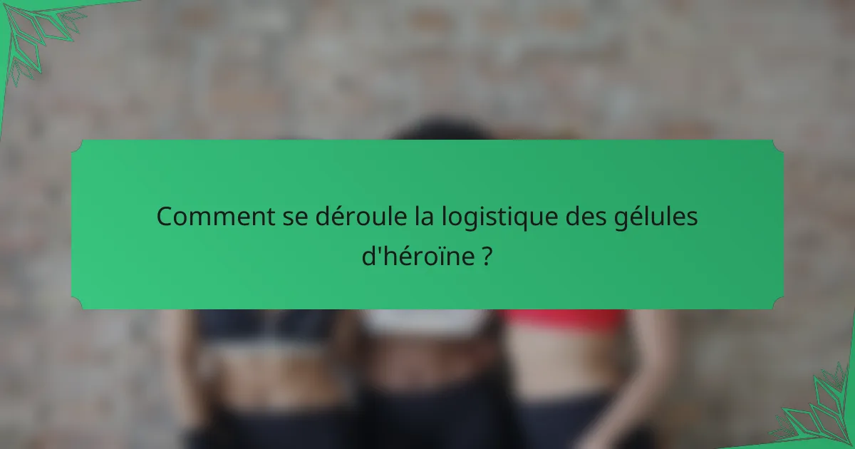 Comment se déroule la logistique des gélules d'héroïne ?