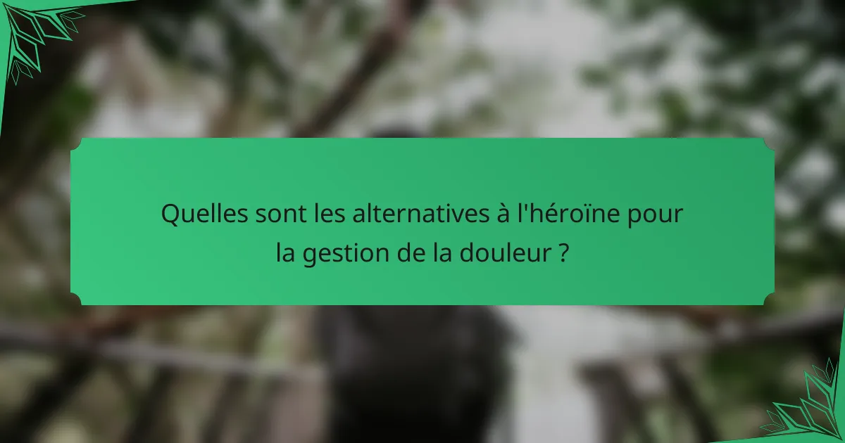 Quelles sont les alternatives à l'héroïne pour la gestion de la douleur ?